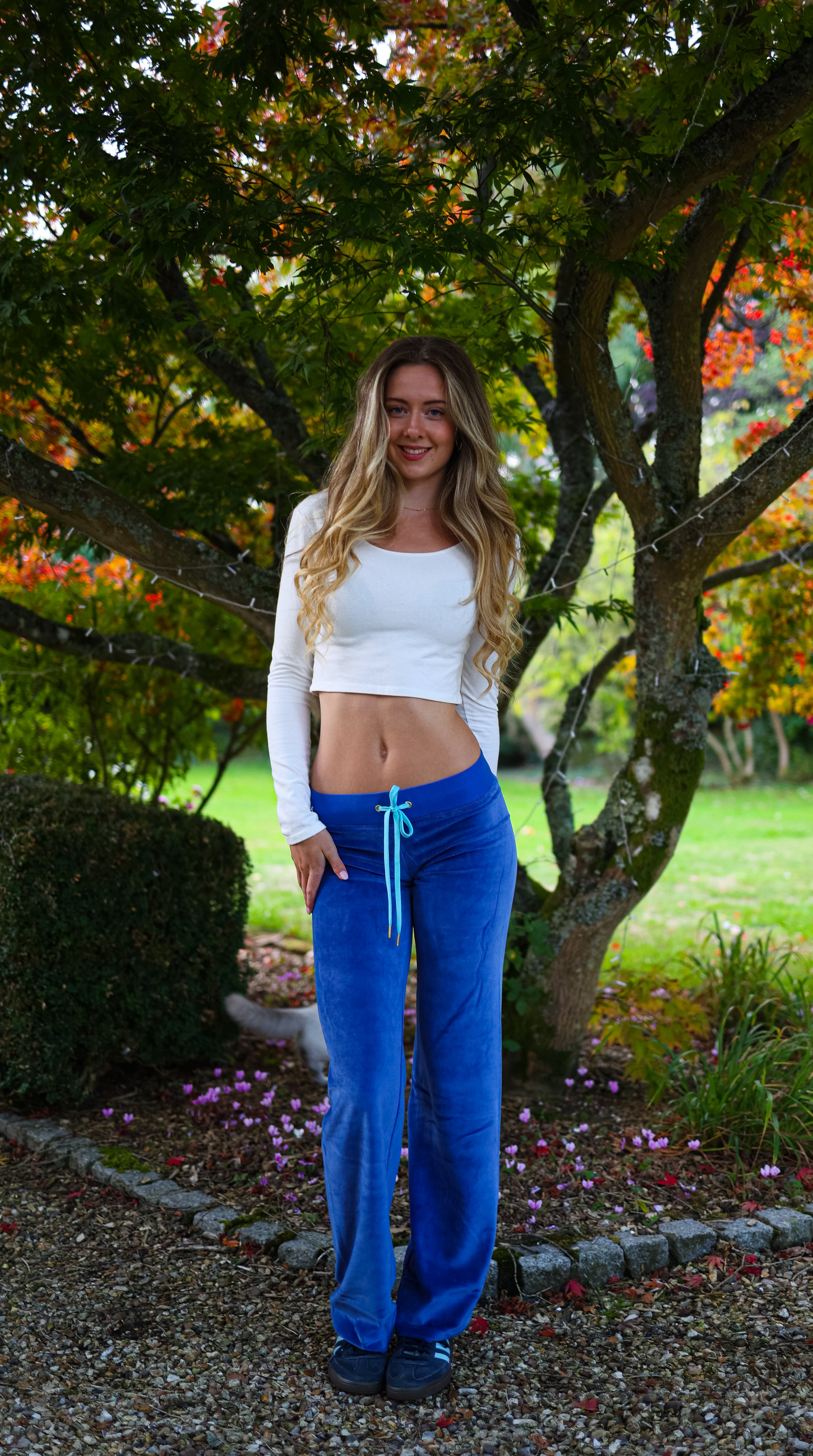 Velour Star Jogger Cobalt / Neon Blue